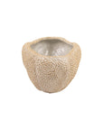 Tan ceramic Paprika Centerpiece bowl by Bungalow Furniture & Accessories featuring a dimpled, textured exterior.