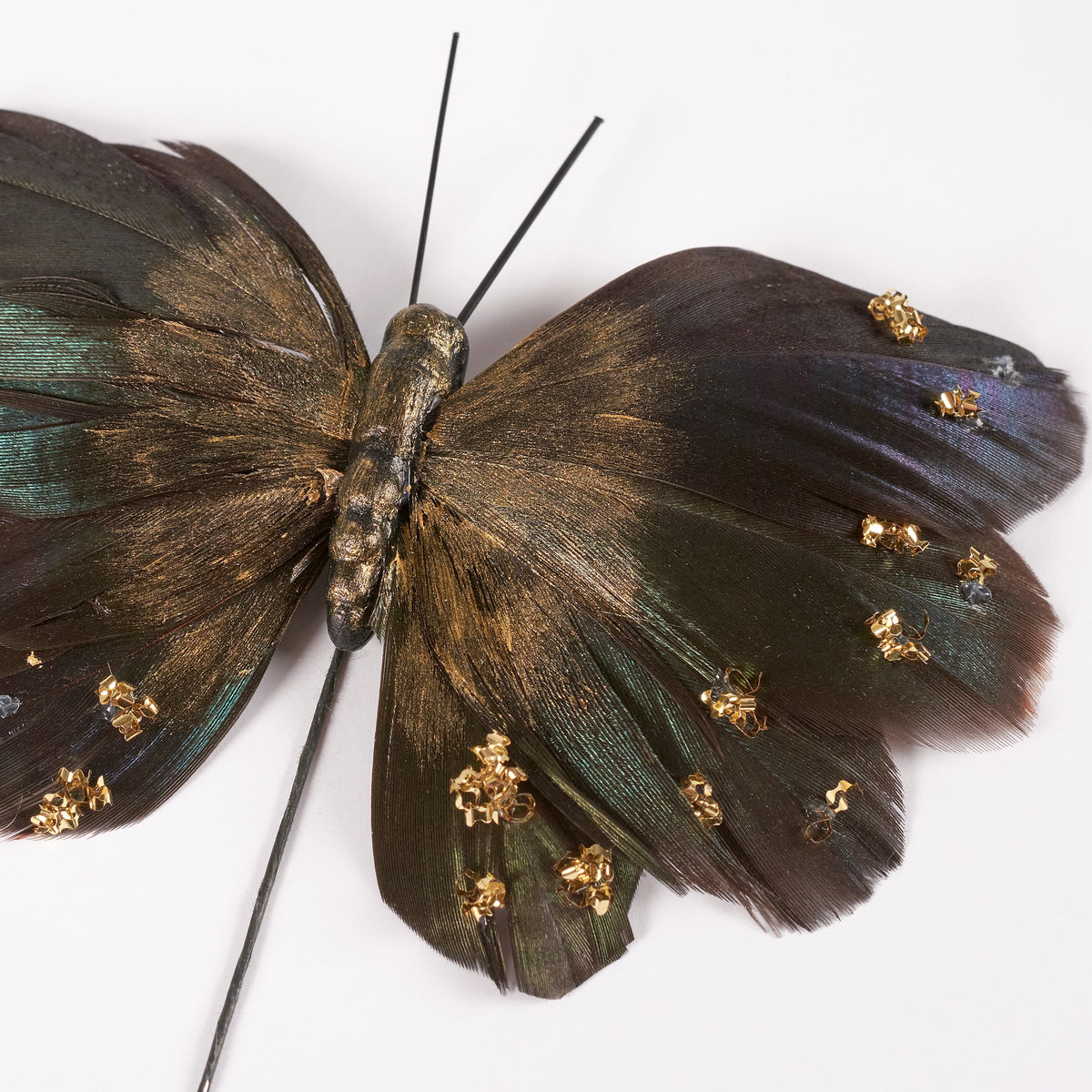 Dark iridescent butterfly picks with gold accents from Bungalow Furniture & Accessories, perfect for décor.