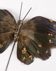 Dark iridescent butterfly picks with gold accents from Bungalow Furniture & Accessories, perfect for décor.
