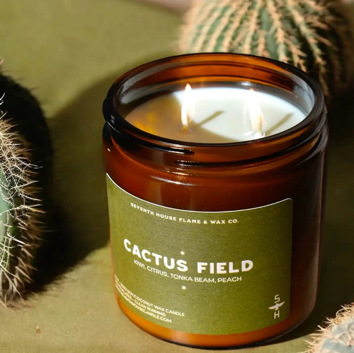 The Faire Cactus Field Candle, a brown glass musk candle with kiwi, citrus, tonka bean, and peach scents, burns beside two cacti on a green surface.