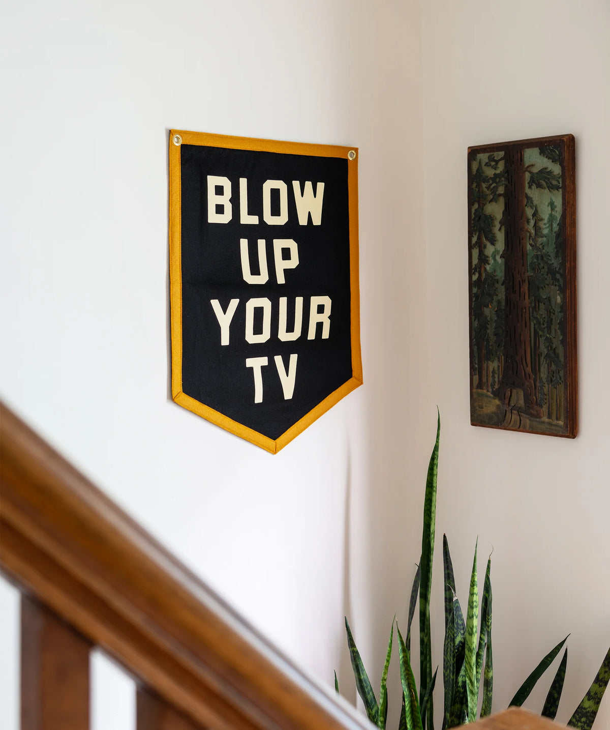 Black “Blow Up Your TV” camp flag by Bungalow Furniture &amp; Accessories displayed above a plant in a cozy setting.