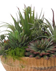 The Succulent Wood Bowl by Natural Decorations Inc. features green and purple succulents with moss in a wooden bowl, offering spiky and fleshy textures—an ideal, maintenance-free décor piece for any space.