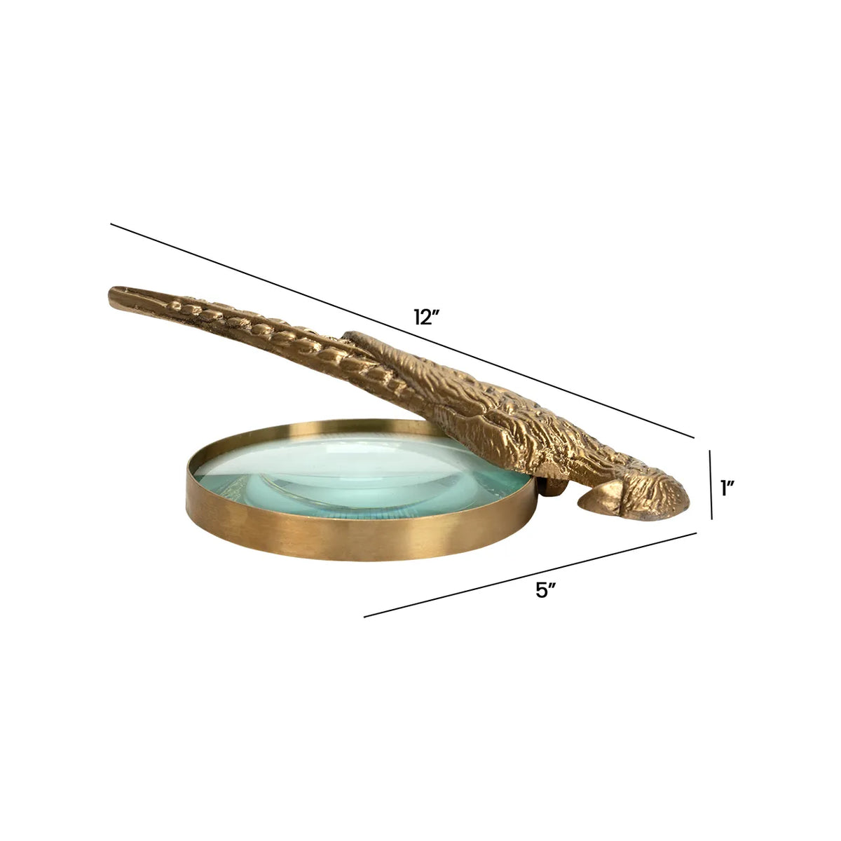 Antique brass Norine magnifying glass with a long textured bird handle and labeled dimensions by Bungalow Furniture.