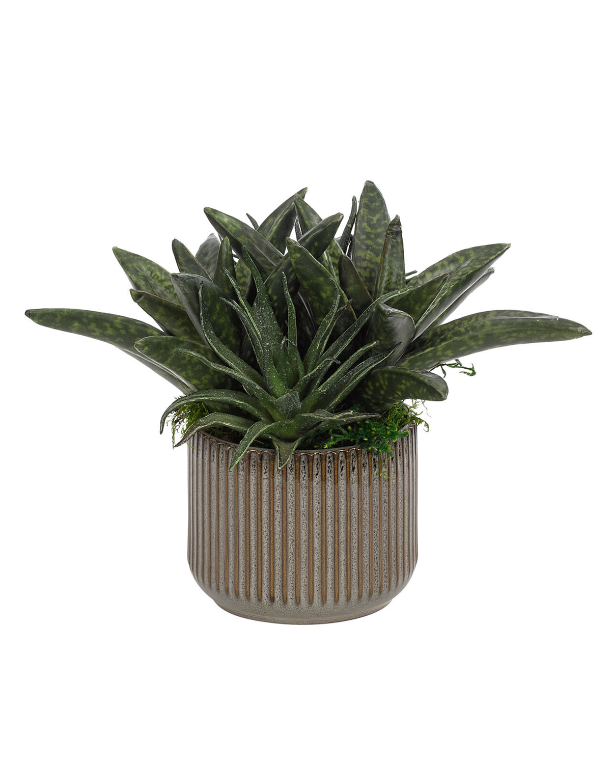 The Aloe Succulent Green by Natural Decorations Inc. features long, pointed green leaves in a ribbed round gray ceramic pot, displayed against a white background.