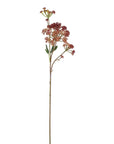 The Faire 24.5" Angelica Flower Stem features clusters of small reddish-brown blooms and slender green leaves, perfect for home decor. Isolated on a white background.