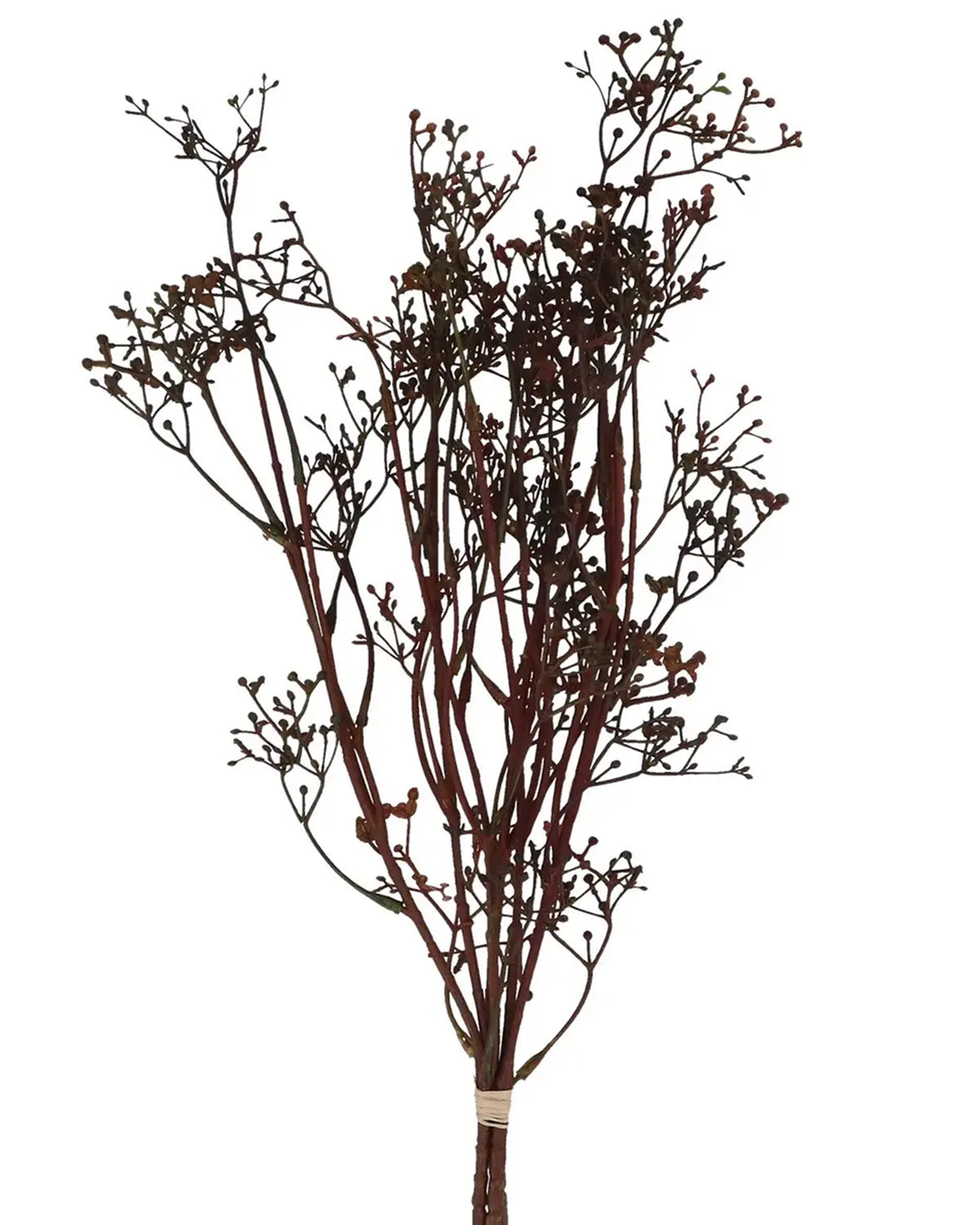 The Faire Antique Burgundy Mix Mini Berry Bunch features slender brown branches with tiny round buds, tied at the base with light string and set against a white background, bringing a vintage charm to any décor.