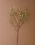 Kalalou Budding Leaf Spray with green leaves on a slender branch, displayed against a simple brown background.