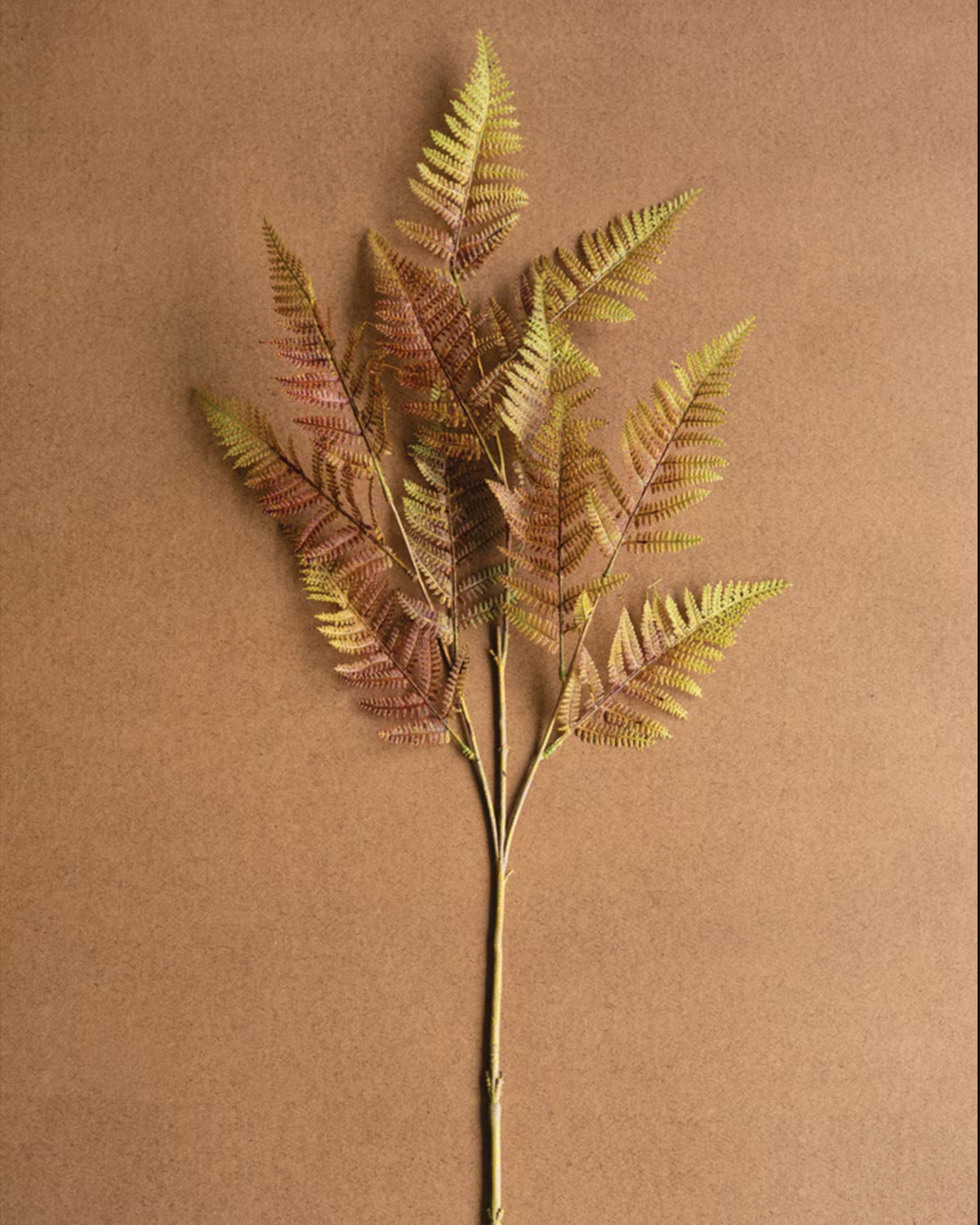 Golden autumn fern with brown base by Kalalou, perfect fall accent for Bungalow Furniture & Accessories.