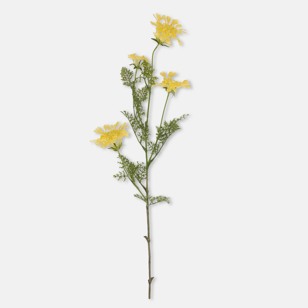 The Abigail Ahern Wild Dill features a single stem with multiple yellow blossoms and green, fern-like leaves—ideal for faux floral arrangements and shown against a white background.