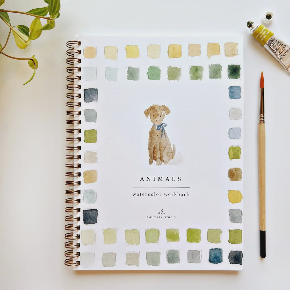 Faire's "Watercolor Workbook," titled "Animals," rests on a surface. It features beginner-friendly illustrations and a spiral binding for easy page turns. The cover, with vibrant squares, displays a painted dog with a blue bow. Nearby lie a paintbrush, paint tube, and green-leafed plant.