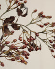 Close-up of dried brown seed pods on thin, bare branches against a light background—ideal inspiration for autumnal, minimalistic decor or lifelike arrangements with the Faire Hipericum Spray.