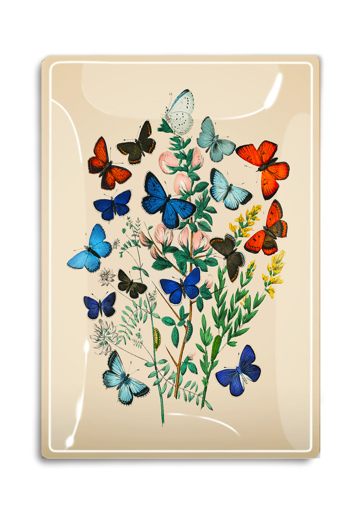The Garden Butterflies Glass Tray by Faire is a food-safe serving tray featuring colorful butterflies, green leaves, and pink flowers on a cream background, expertly handcrafted in New York.