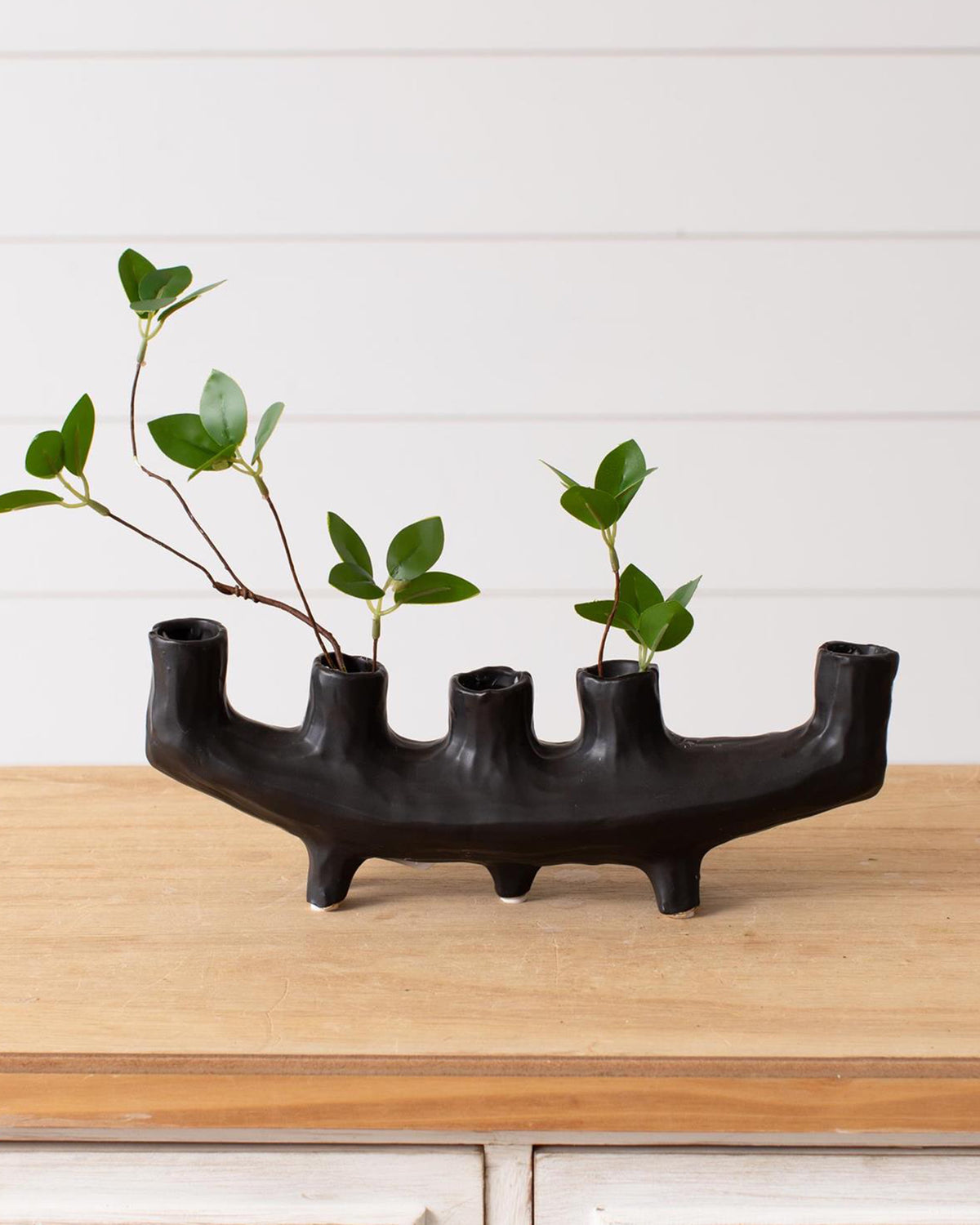 The Faire Black Crescent Shape ceramic vase with five openings, filled with green leafy stems, sits on a wooden surface against a white shiplap wall, creating striking decor.