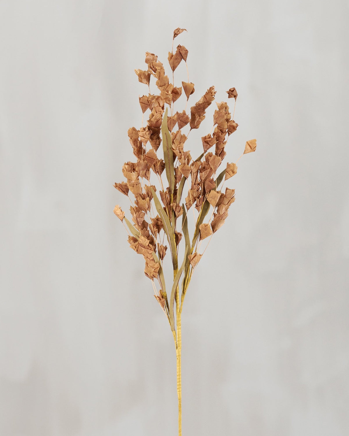 Brown buds floral pick on a thin stem by Bungalow Furniture &amp; Accessories, perfect for cottagecore décor.