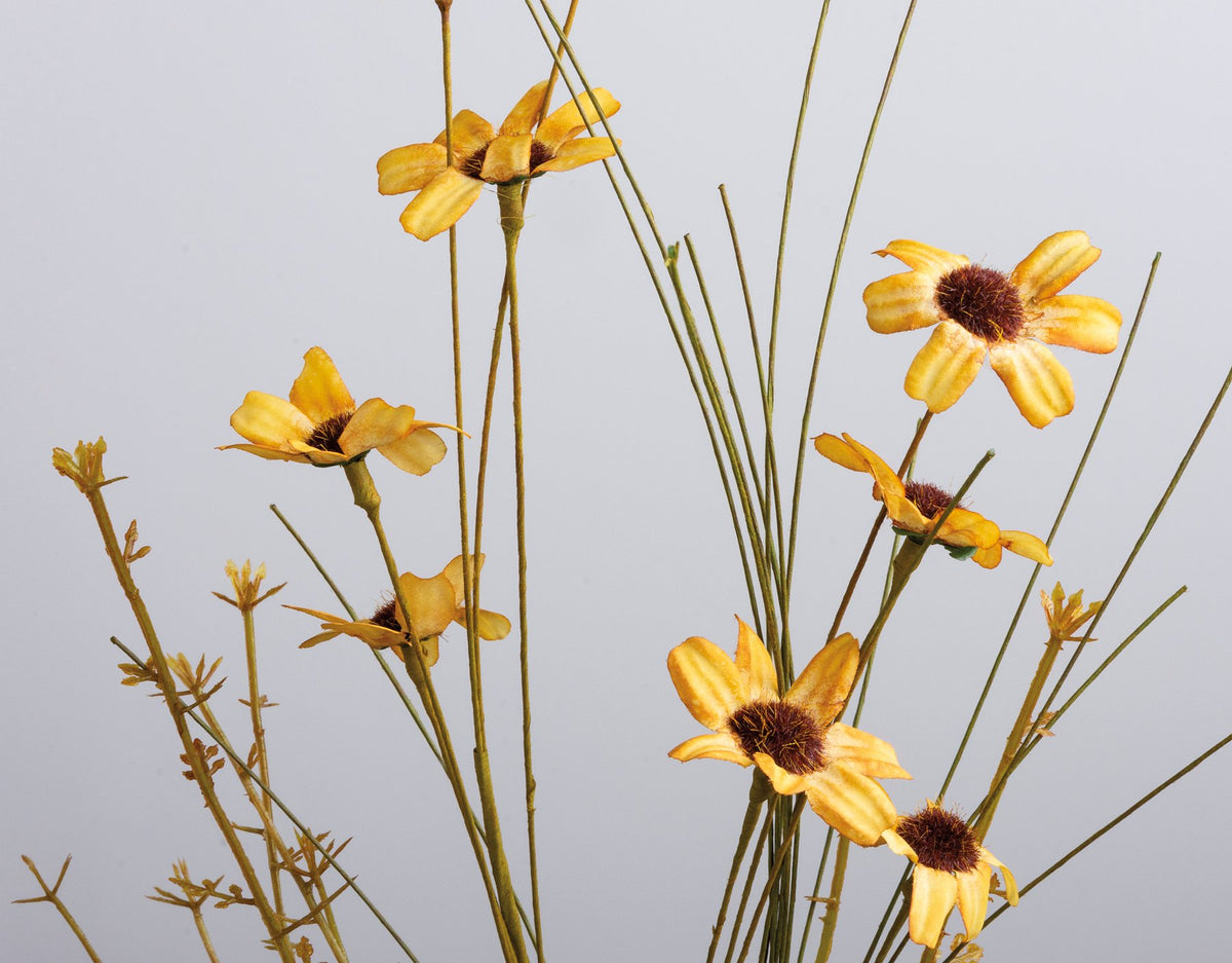 Gold Floral Pick with thin stems and dark brown centers from Bungalow Furniture &amp; Accessories.