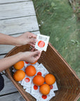 A person holds a Faire Orange Towelettes pack—20 individual essential oil wipes—above a basket of fresh oranges and wrapped wipes, all arranged on a wooden deck next to green grass.