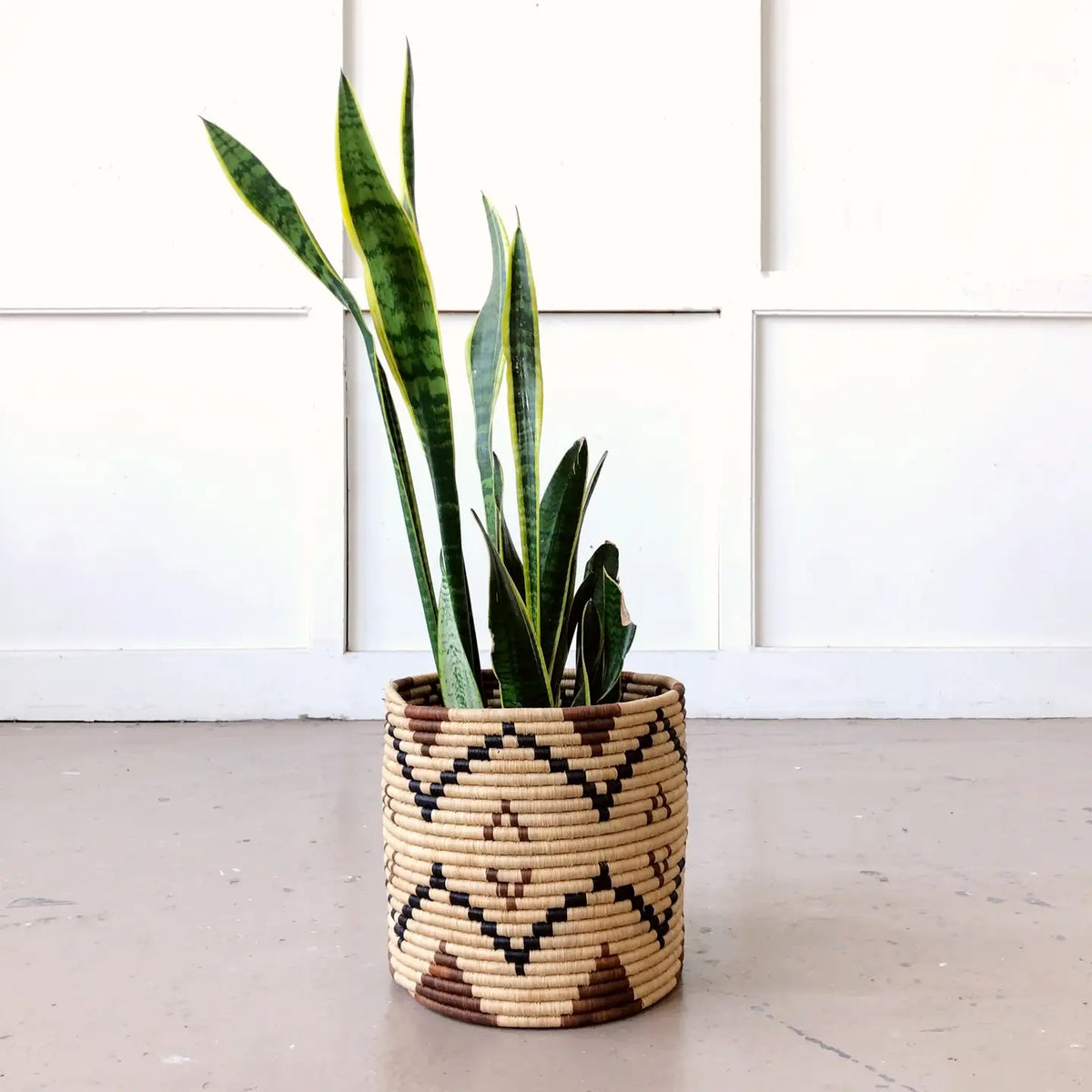 A snake plant with long green leaves sits in Faire's Storage Plant Basket: Ruzizi, a handmade woven planter with a geometric pattern, placed on a light floor against a white paneled wall.