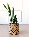A snake plant with long green leaves sits in Faire's Storage Plant Basket: Ruzizi, a handmade woven planter with a geometric pattern, placed on a light floor against a white paneled wall.