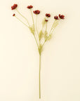 The Faire Calliopsis Spray in Rust Red features a single green stem with delicate, wispy leaves and multiple small faux flowers, shown against a light beige background.
