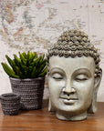 The Aeonium in Cement Pot by AllState Floral And Craft sits beside a decorative Buddha head statue and a matching cup on a wooden surface, with a map backdrop, creating a serene and balanced arrangement.