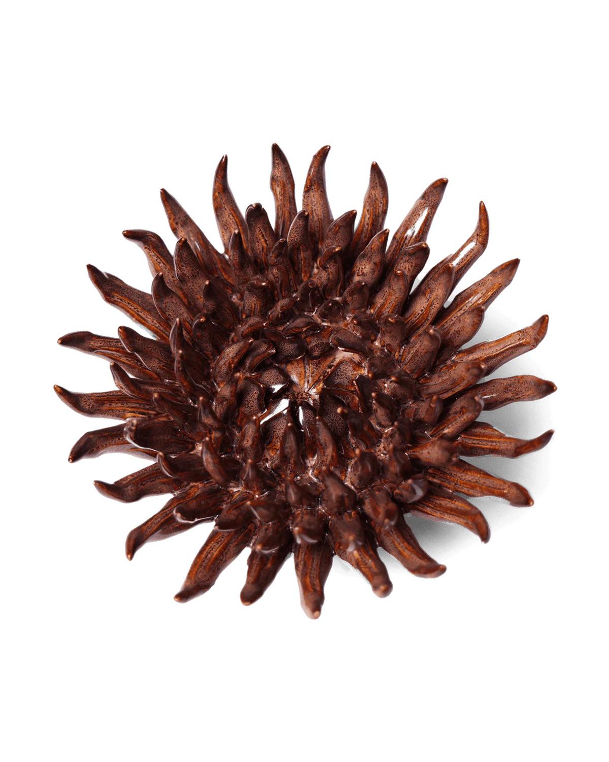 Chocolate Mum ceramic flower sculpture by Bungalow Furniture &amp; Accessories in dark brown with spiky, elongated petals.