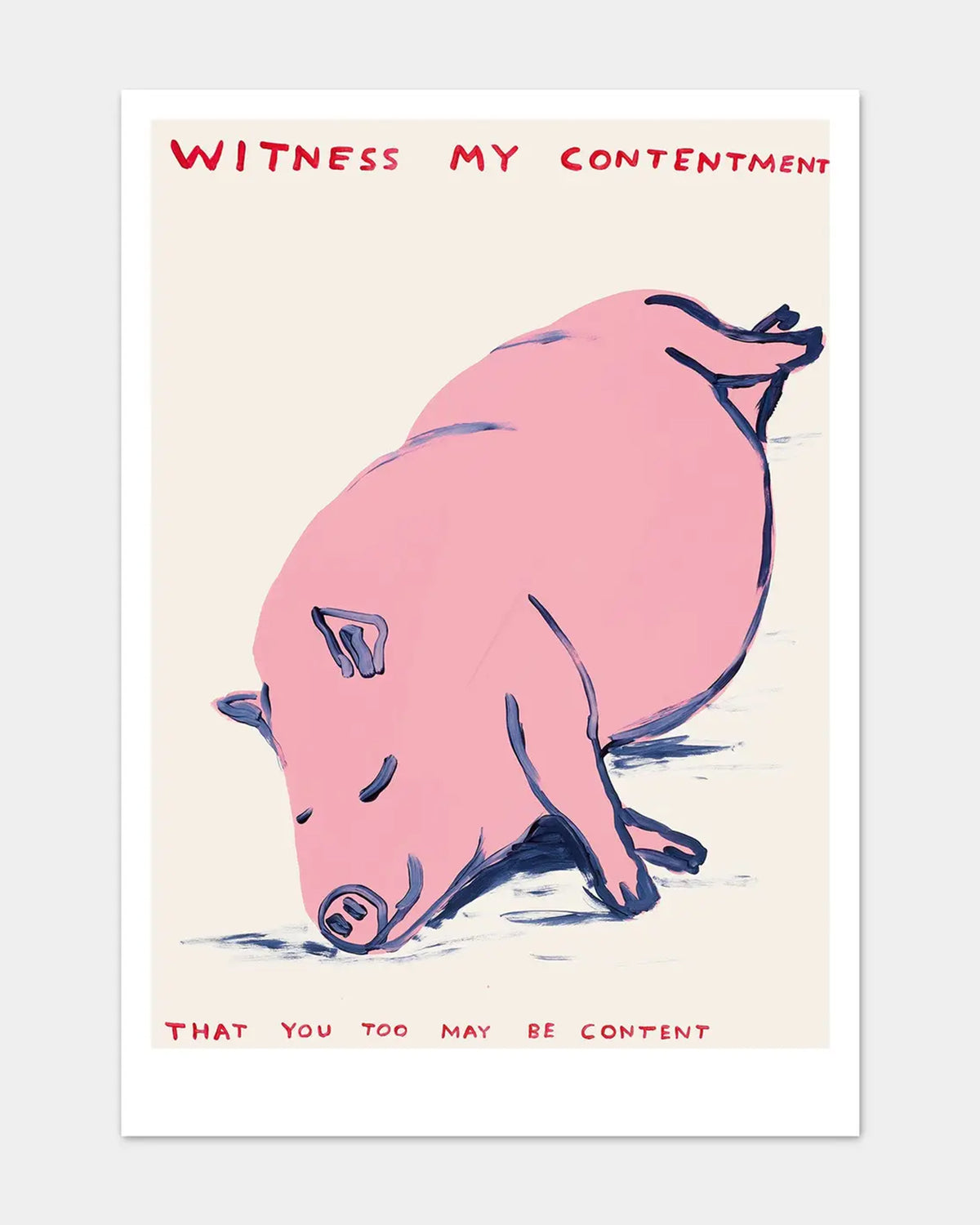 The Witness My Contentment Postcard by Faire features a relaxed pink pig lying on its side with eyes closed, plus bold red text above and below on an off-white background, capturing David Shrigley's signature charm.
