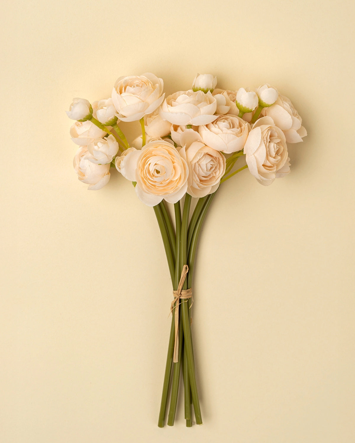 Cream ranunculus bouquet with green stems tied with twine by Faire.