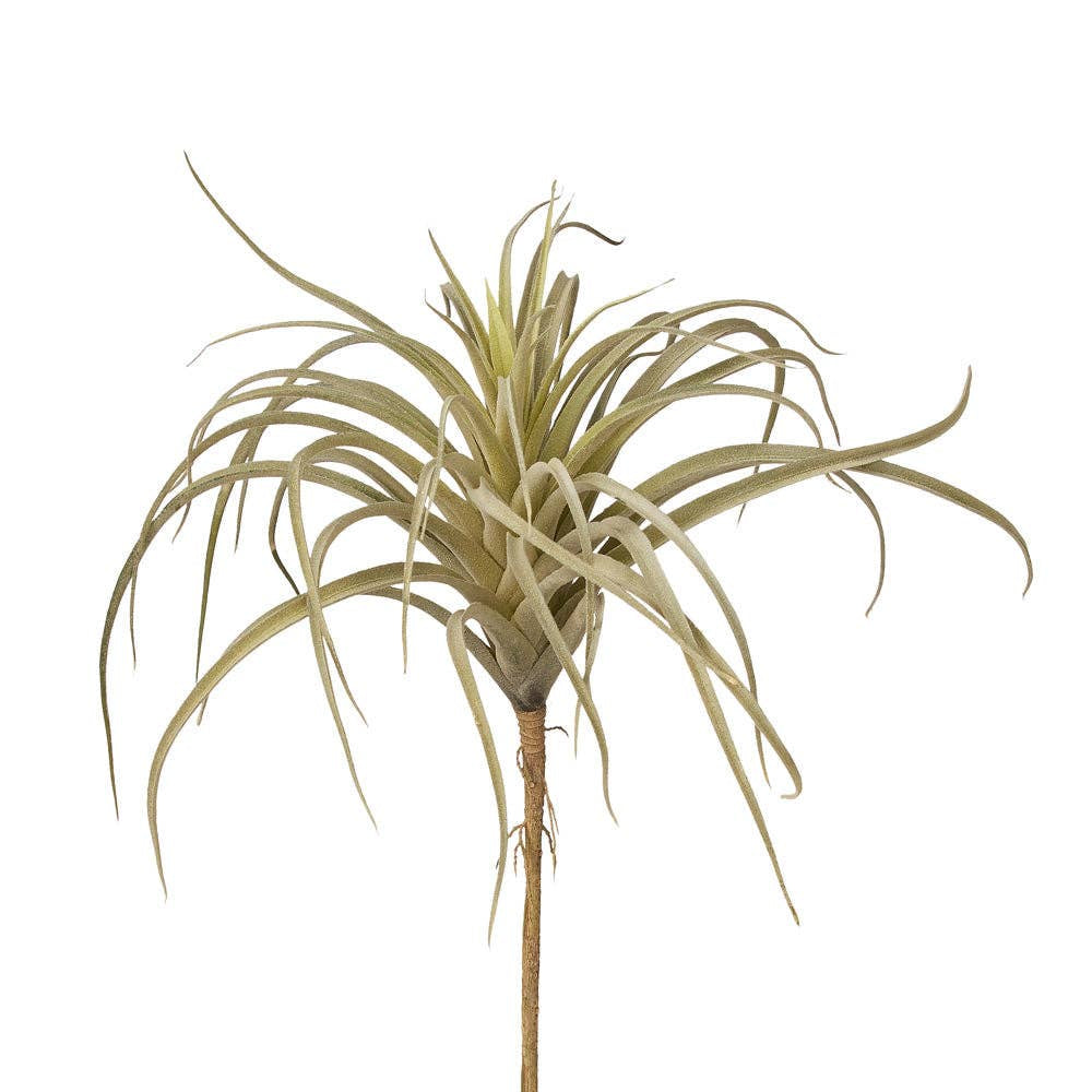 The Faire 11" Green/Grey Airplant features thin, spiky greenish-gray leaves on a slender brown stem, providing realistic faux greenery and modern style. Shown isolated on a white background.