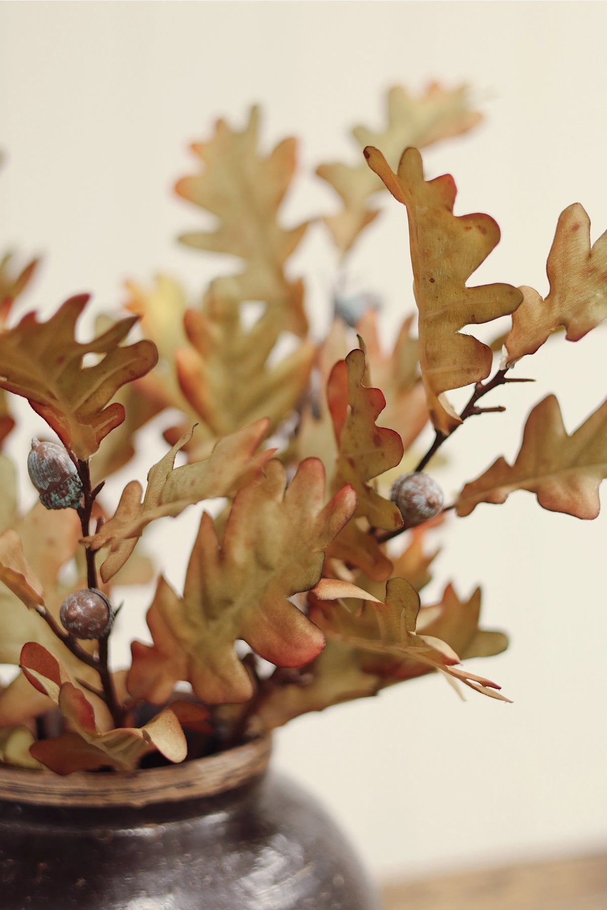 Dark vase with dried oak leaves and acorns, eco-friendly decor by Bungalow Furniture & Accessories.