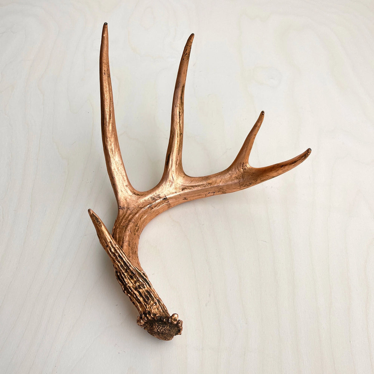 Bronze four-point antler accent on light wood by Faire, ideal for natural decor at Bungalow Furniture & Accessories.