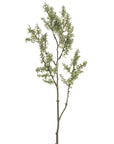 Sage green 33-inch realistic faux moss spray on a thin, textured brown stem from Bungalow Furniture & Accessories.