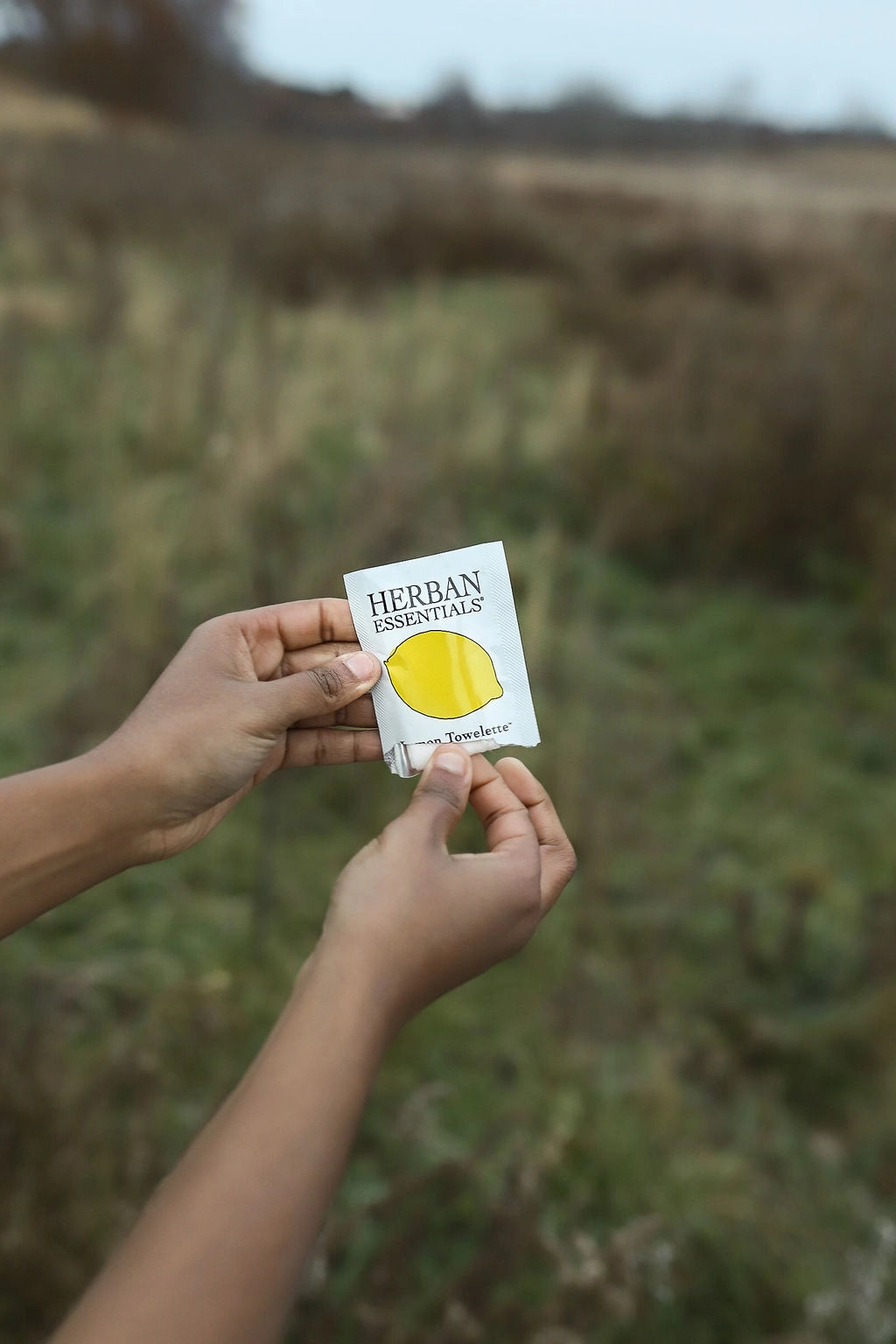 A person holds a packet labeled "Faire Lemon Towelettes - 20 Individual Essential Oil Wipes," each wipe individually wrapped, while standing outdoors in a blurred grassy field under an overcast sky.