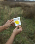 A person holds a packet labeled "Faire Lemon Towelettes - 20 Individual Essential Oil Wipes," each wipe individually wrapped, while standing outdoors in a blurred grassy field under an overcast sky.