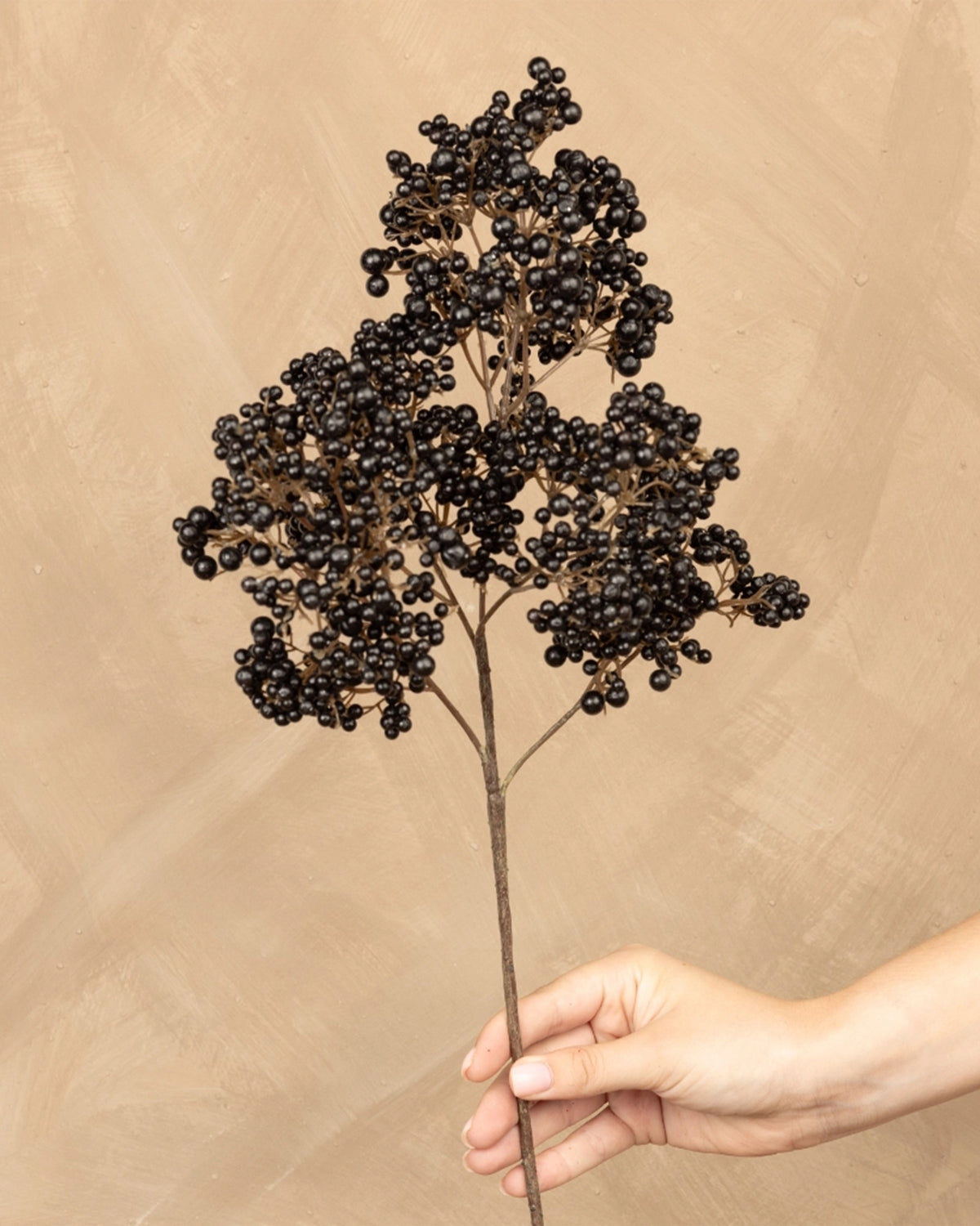 Faire Elderberries Black decorative stem held in hand, beige background, elegant accent for tabletop decor.