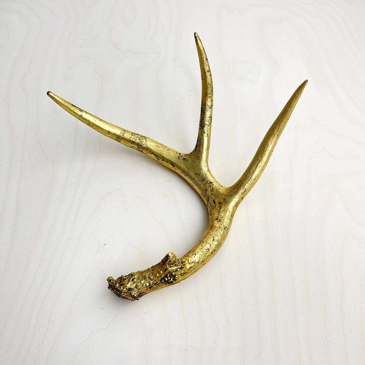 Gold three-pointed antler decor by Faire, perfect for coffee tables or light wood surfaces.