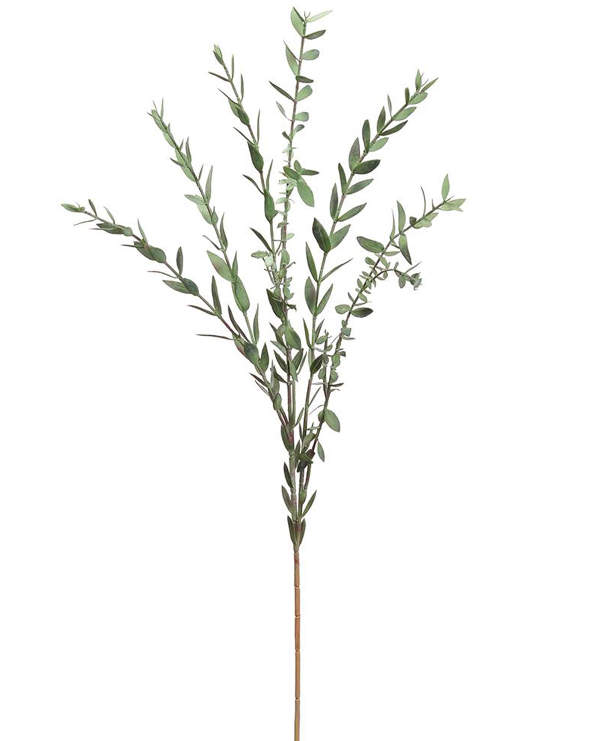 Faux Myrtle Spray, 28.5 inches, featuring realistic green foliage on thin stems from Bungalow Furniture &amp; Accessories.