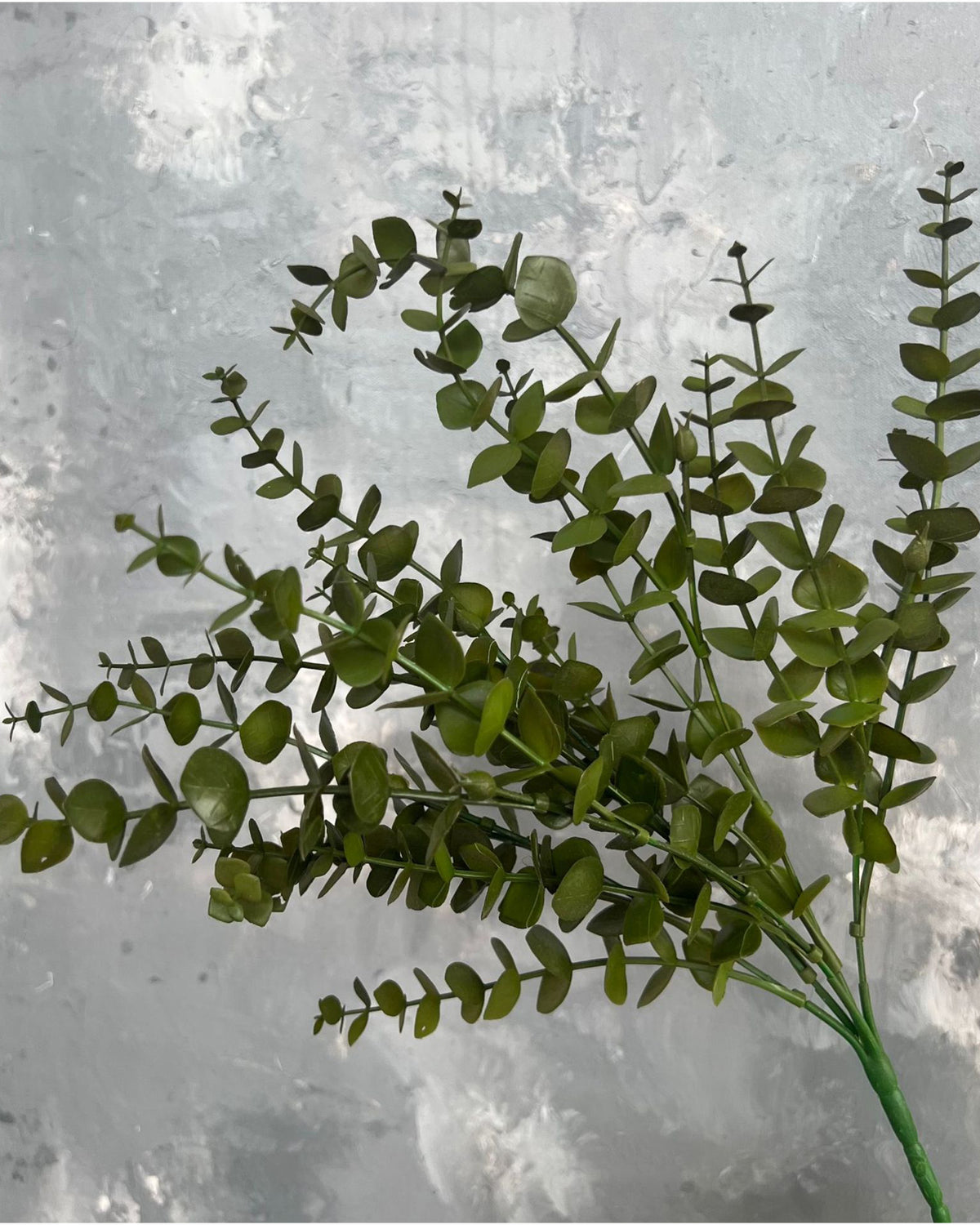 The 13'' Faux Eucalyptus Greenery Bunch by Faire features round leaves, perfect for floral design projects. Displayed against a textured gray background, this small bouquet adds a touch of greenery to any space.