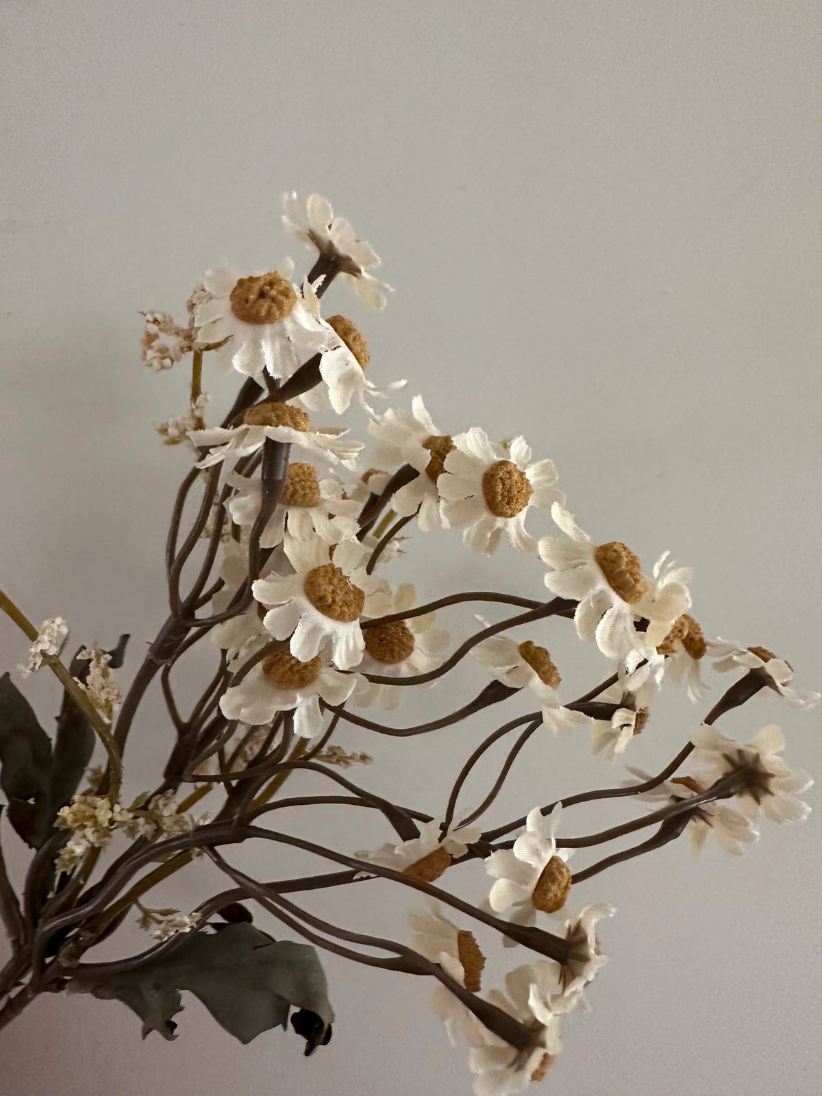 13″ Faux Cream Dried Daisy Bundle of mini stems with brown centers by Bungalow Furniture &amp; Accessories.