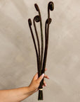 Fiddlehead fern stems held in hand with a neutral beige backdrop, Bungalow Furniture, botanical decor accent.