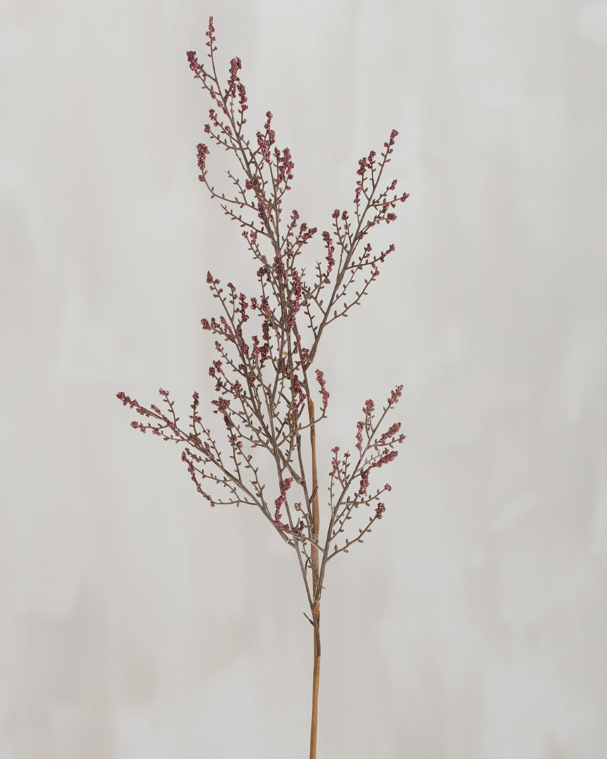 Burgundy forsythia floral pick with small buds on a woody stem, Bungalow Furniture &amp; Accessories cottagecore decor.