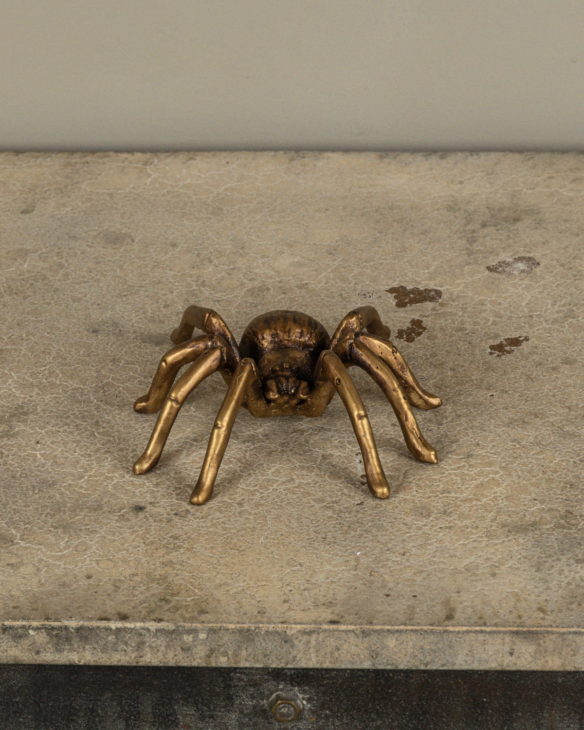 Gold Tarantula decor by Faire rests on a textured beige stone surface, perfect for eclectic home accents.