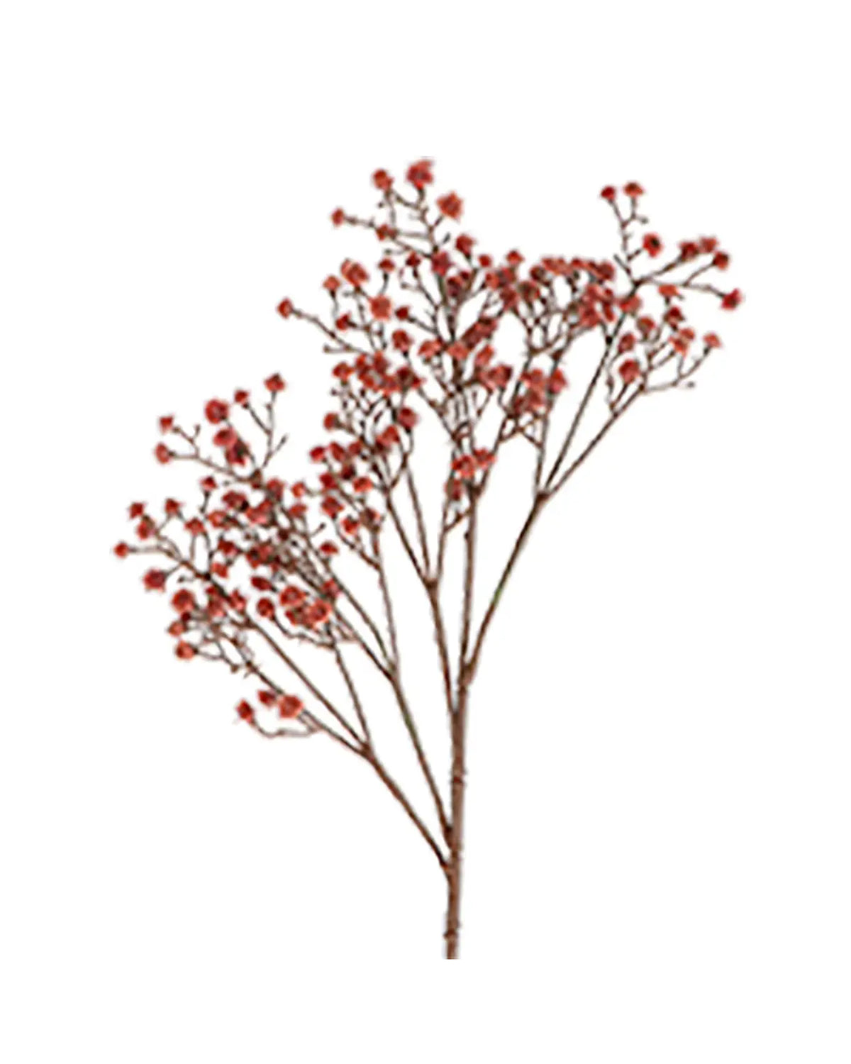 The Faire Terracotta Gypsophila Spray features a single brown stem with multiple branches and clusters of small red artificial flowers, ideal for tabletop decor.