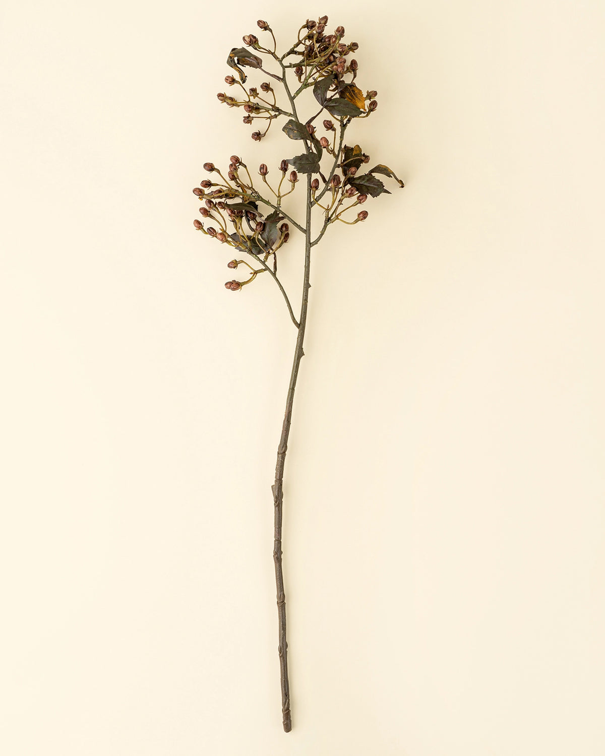 The Faire Hipericum Spray features a single branch with small brown berries and a few shriveled leaves, displayed vertically on a plain beige background—perfect for adding realistic faux florals to your home decor.