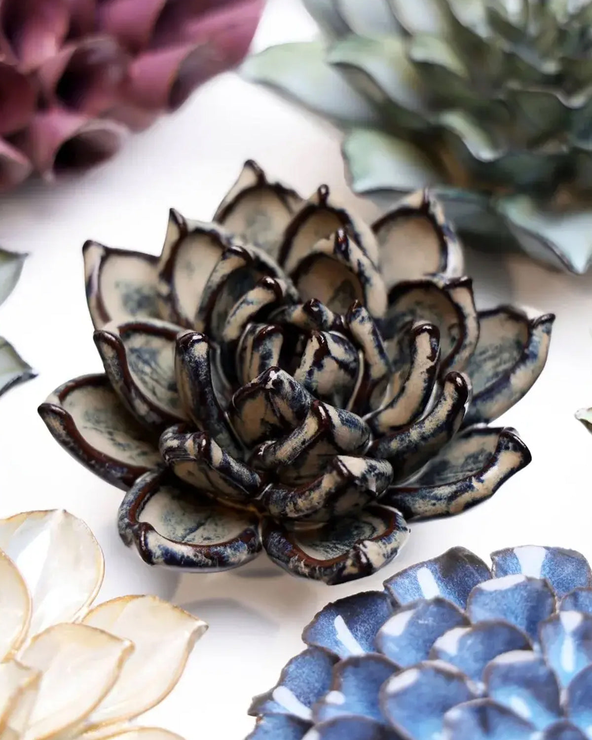 Handmade blue, cream, and purple ceramic succulent sculptures from Bungalow Furniture &amp; Accessories for modern wall art.