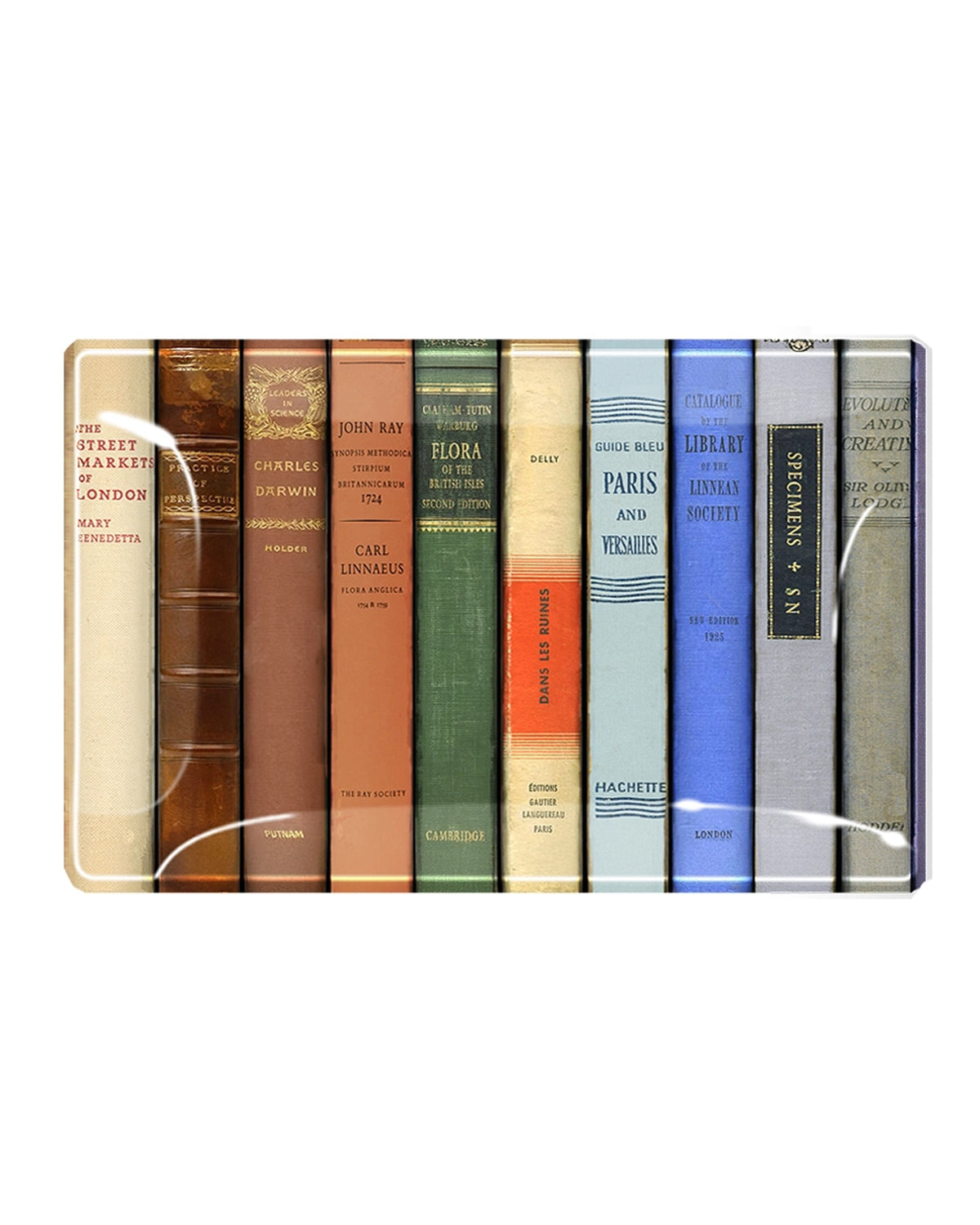 Glass tray with vintage book spine design by The Faire, perfect as a gift or decorative accent from Bungalow Furniture.