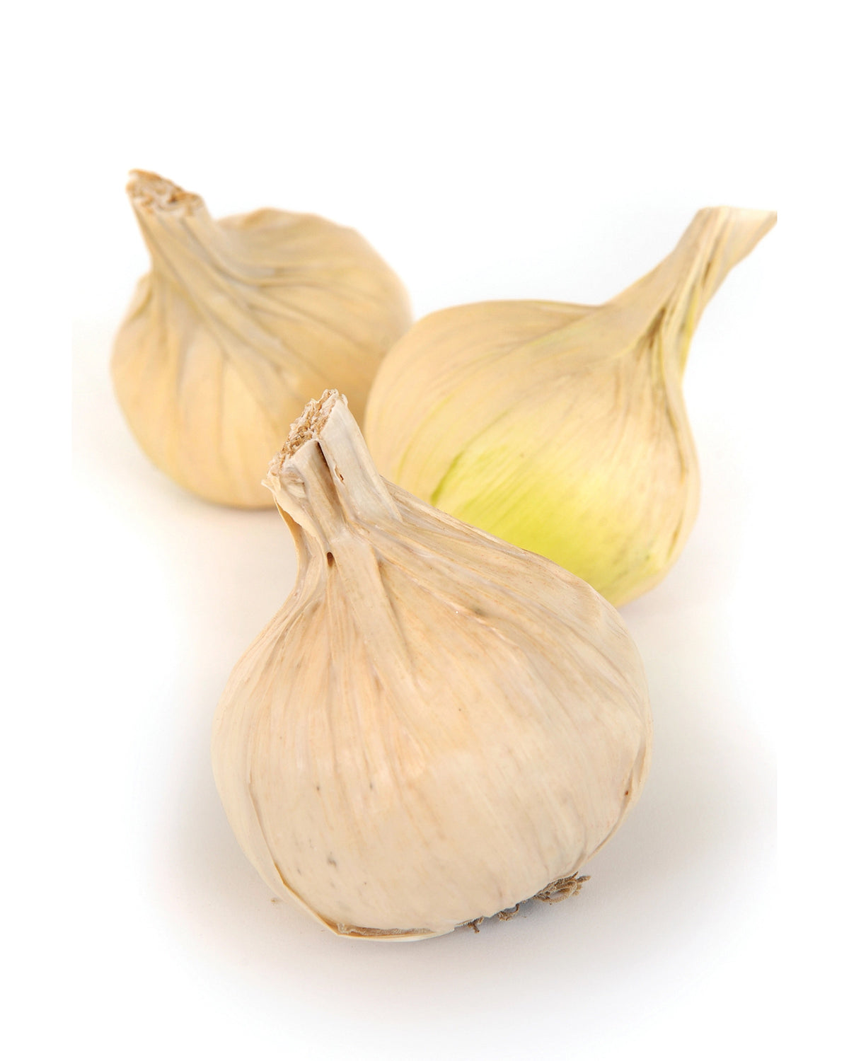 White ceramic onion decor by Faire, classic and rustic, perfect for kitchen accents at Bungalow Furniture & Accessories.