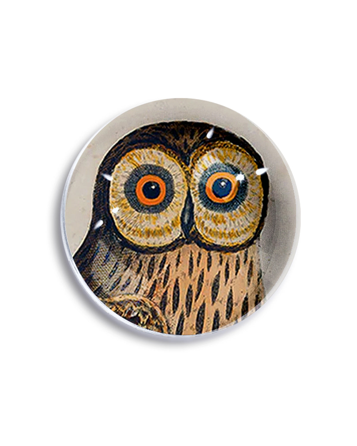Owl paperweight with colorful eyes and brown feathers, Faire Owl Crystal Dome, glass decor for office or study.
