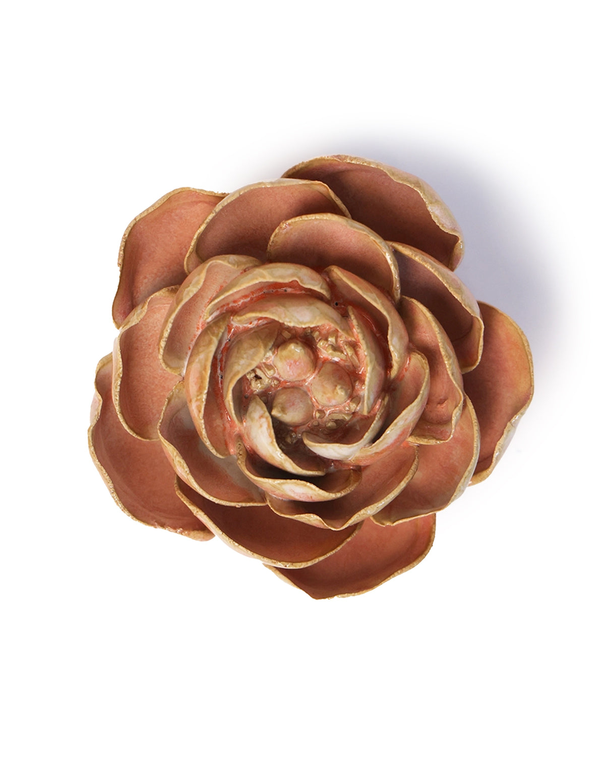 A top view of Faire's Peach Pink Peony succulent, featuring tightly layered, rounded brownish-pink petals, ideal for tabletop or wall decor, displayed against a white background.