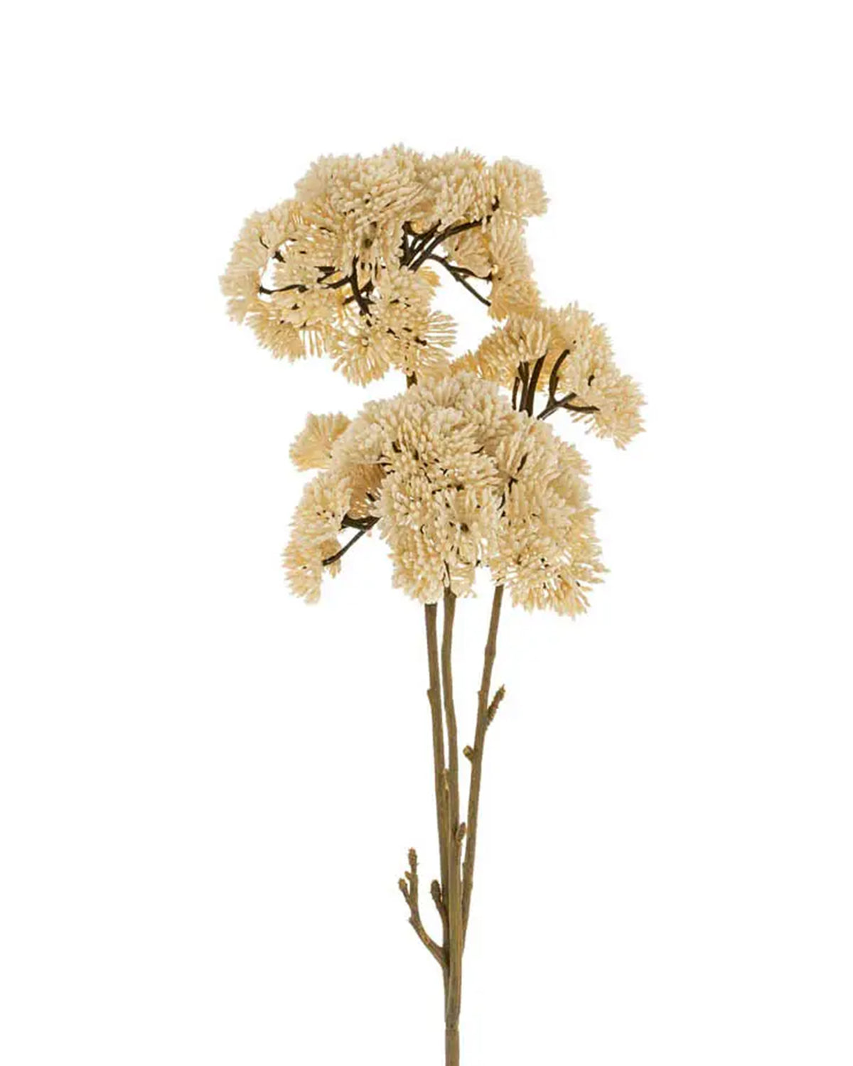 The Faire Pom Pom Floral Spray Cream features a single long stem with beige clustered, textured blooms and brownish-green stems—perfect for adding realistic artificial plant beauty to any space.