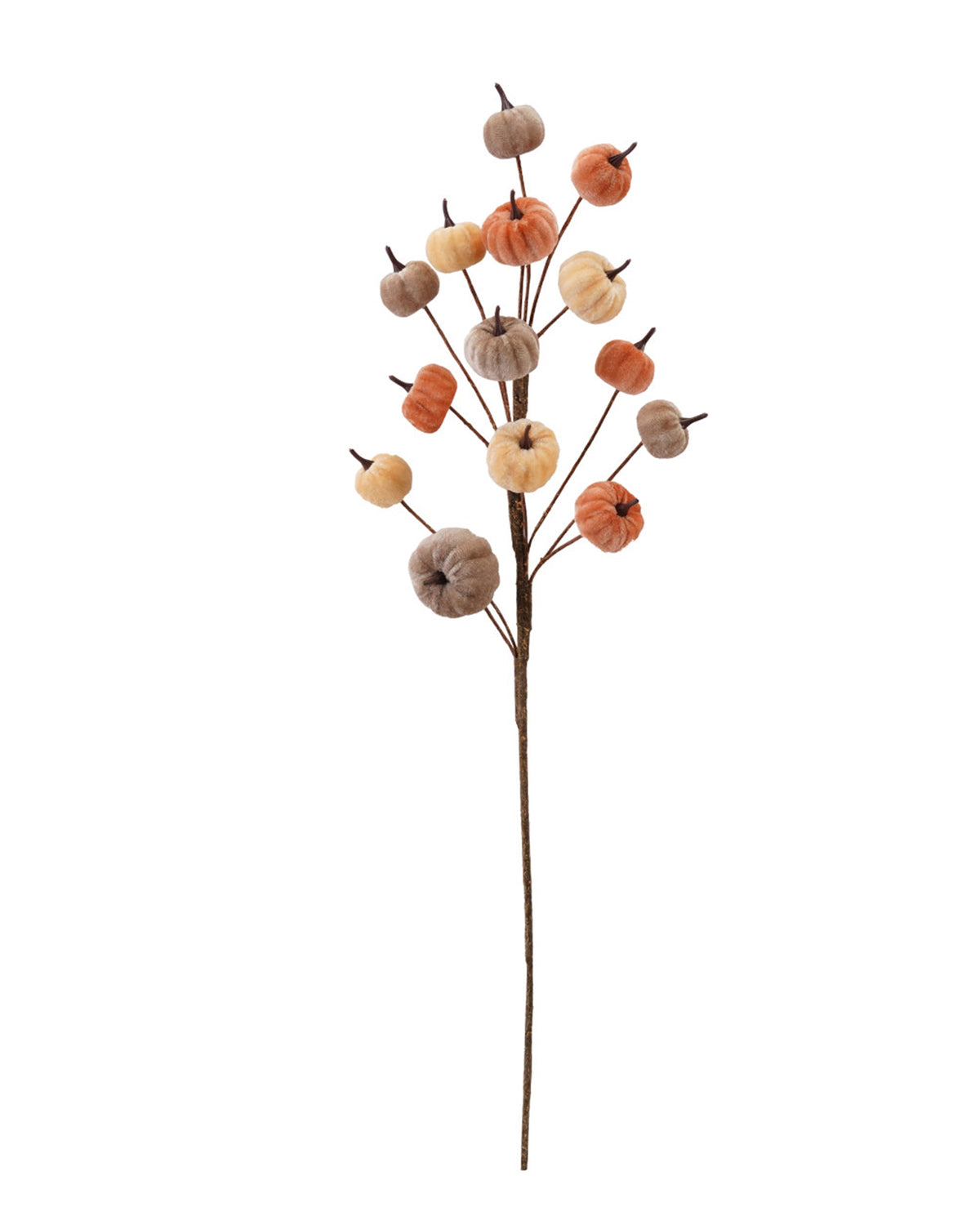 Orange, beige, and brown velvet pumpkins on branches, Creative Co-op autumn decor from Bungalow Furniture &amp; Accessories.